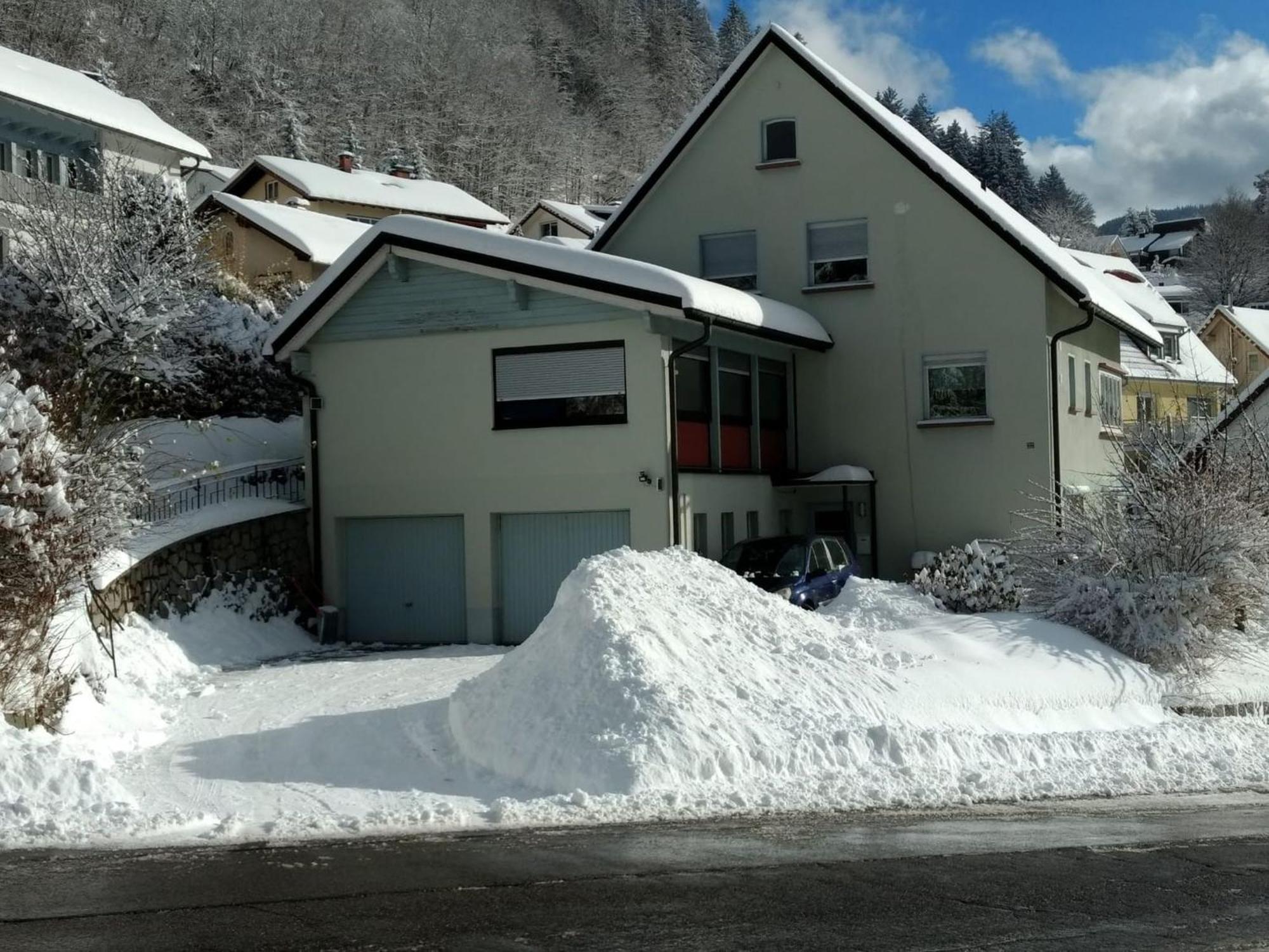 Haus Marion Apartment Todtnau Exterior photo